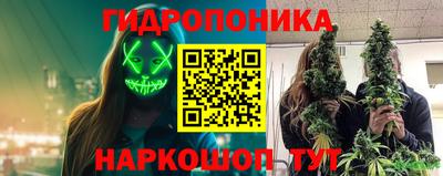 spice Заволжье